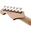 Fender Eric Clapton Stratocaster Maple Fingerboard Black